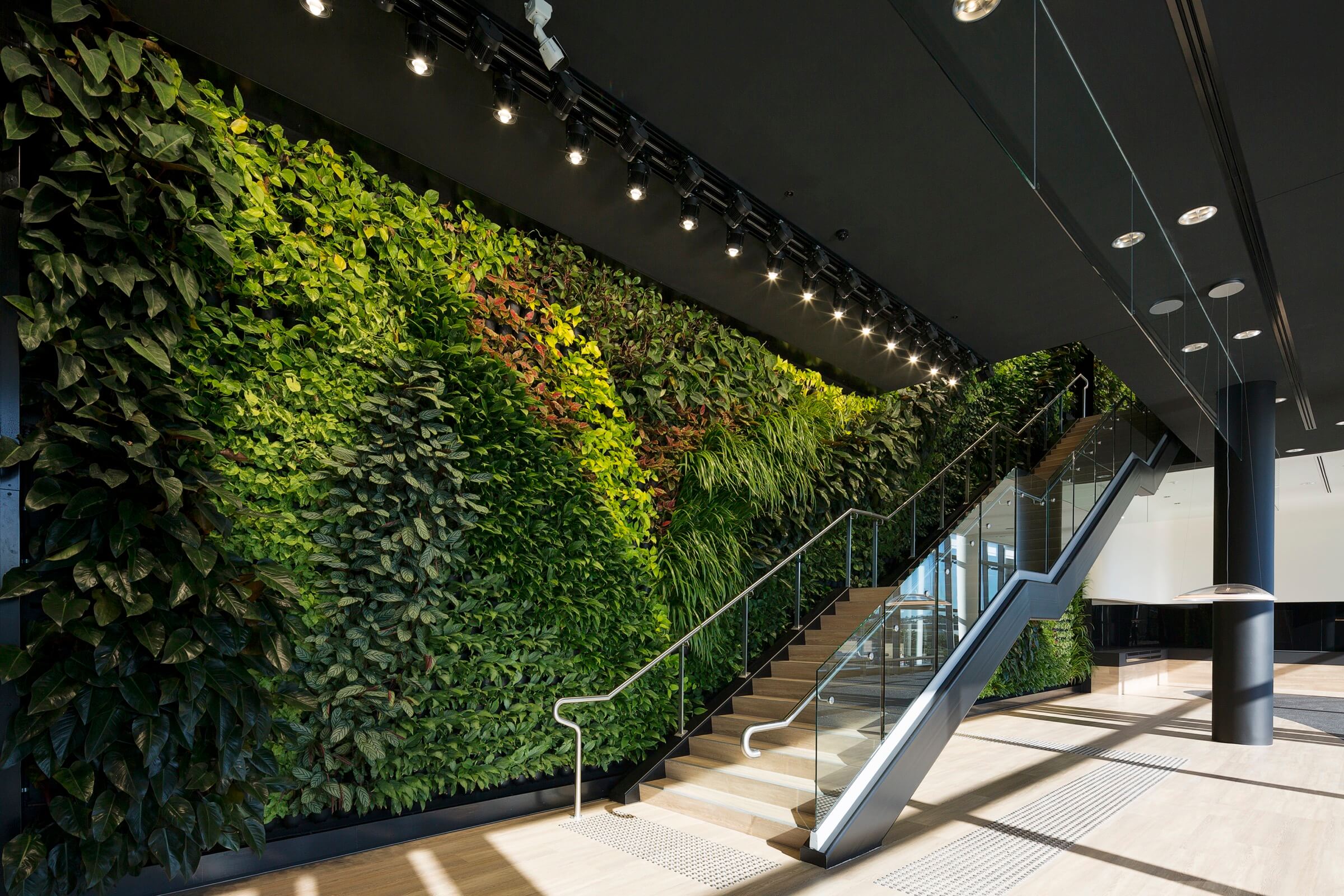 Green wall install