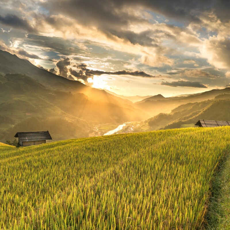 how does topography affect agricultural yields