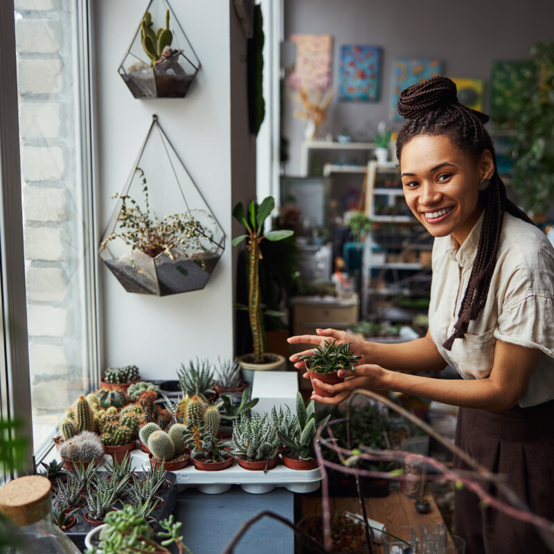 how often to fertilise plants