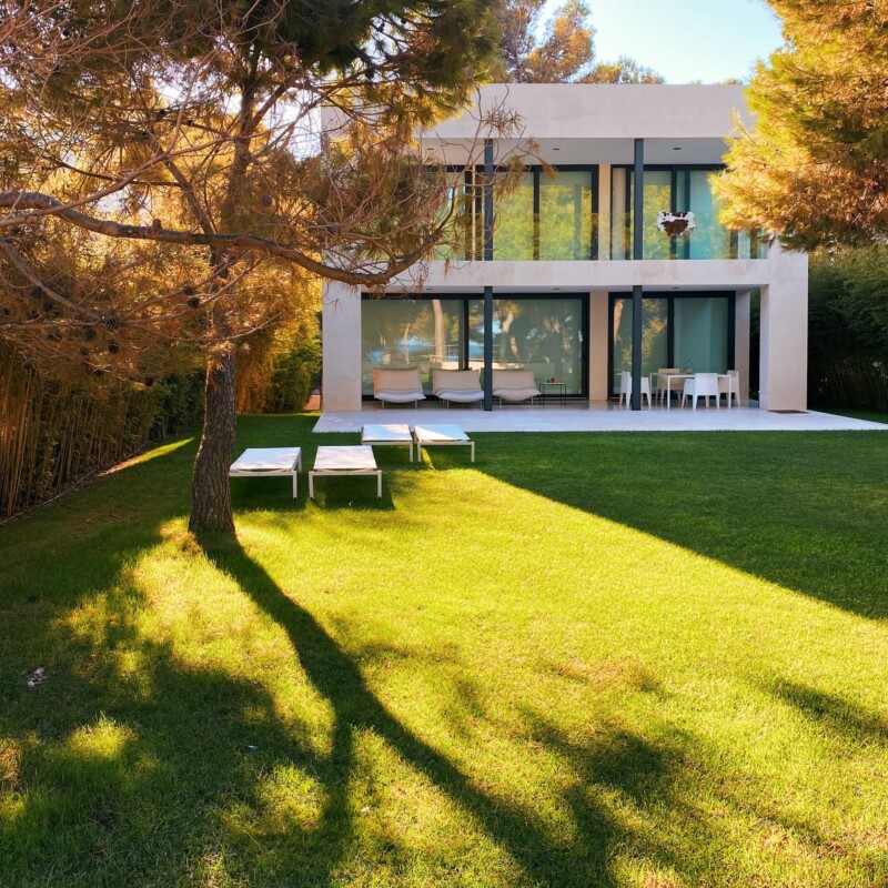 how to fertilise your lawn