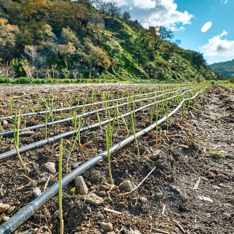 what is drip irrigation